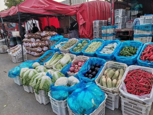 生活记 探访太原河西农副产品批发市场——满载而归的零食寻味之旅